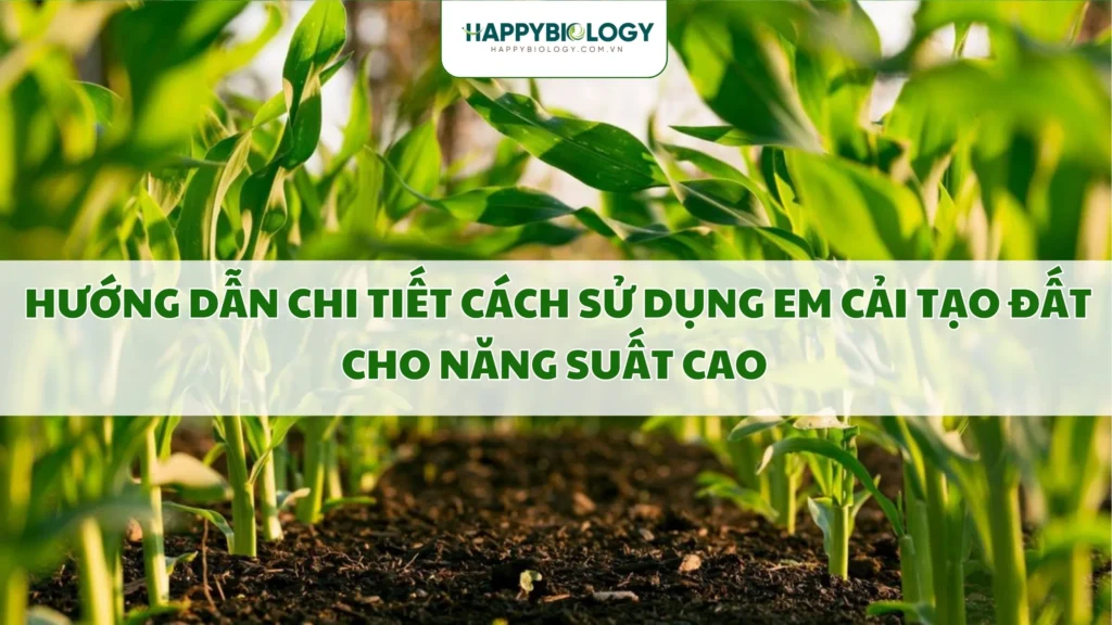 Hướng Dẫn Chi Tiết Cách Sử Dụng EM Cải Tạo Đất Cho Năng Suất Cao