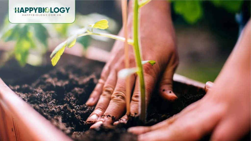 Tổng quan về chế phẩm EM và công dụng trong cải tạo đất