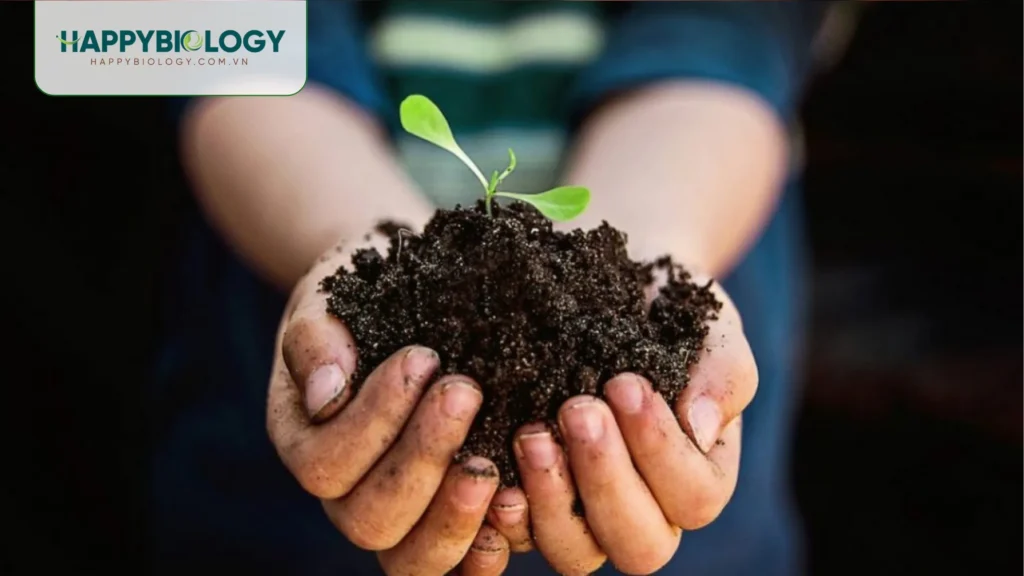 Cách sản xuất EM thứ cấp (EM2) từ EM gốc