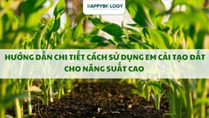 Hướng Dẫn Chi Tiết Cách Sử Dụng EM Cải Tạo Đất Cho Năng Suất Cao