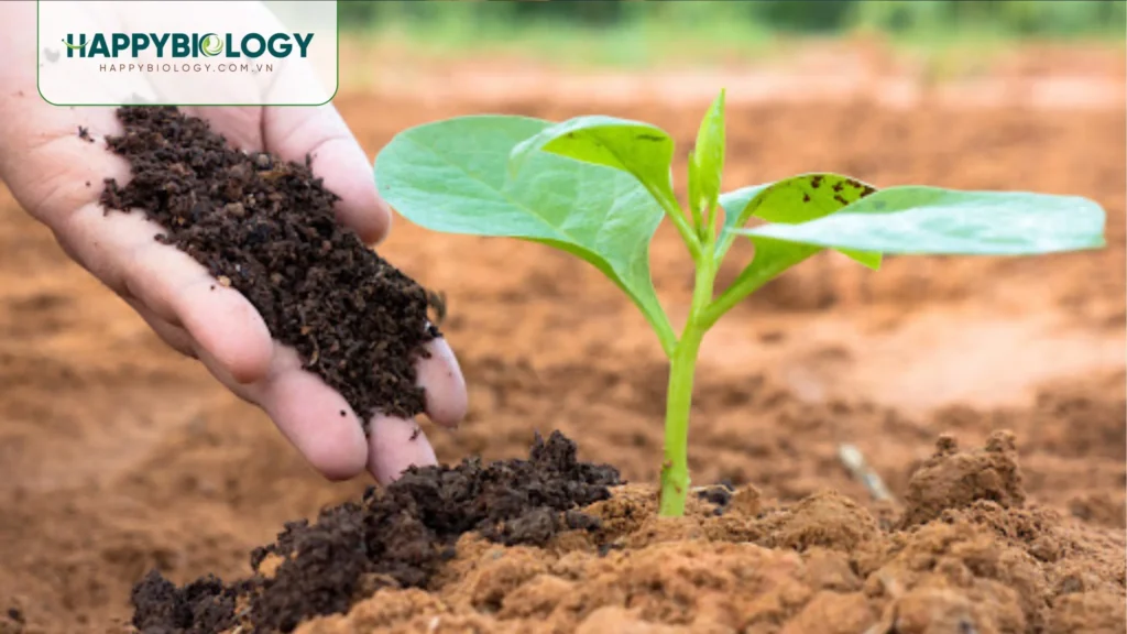 Ứng dụng EM trong việc ủ phân hữu cơ