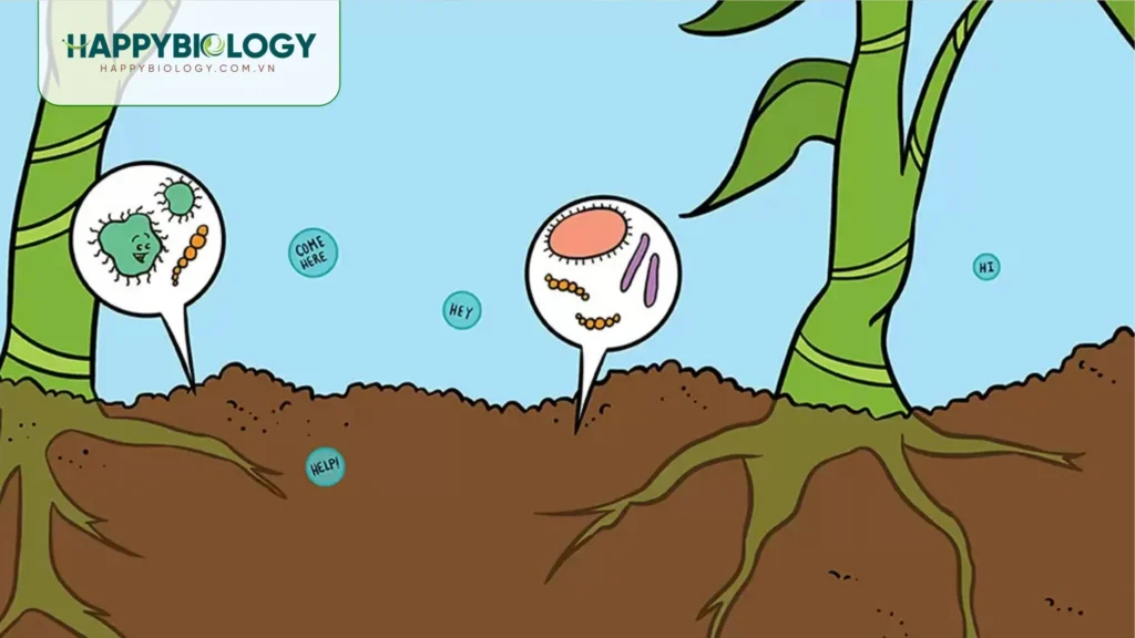 Hậu quả của đất bạc màu với nông nghiệp