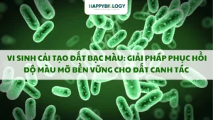 Vi Sinh Cải Tạo Đất Bạc Màu: Giải Pháp Phục Hồi Độ Màu Mỡ Bền Vững Cho Đất Canh Tác
